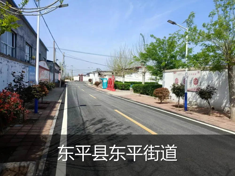 东平县东平街道