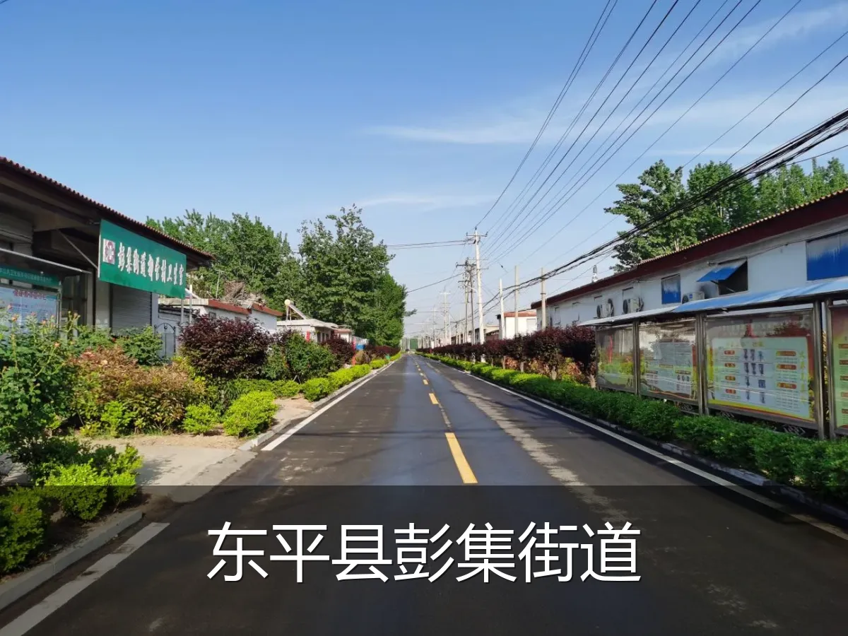 东平县彭集街道