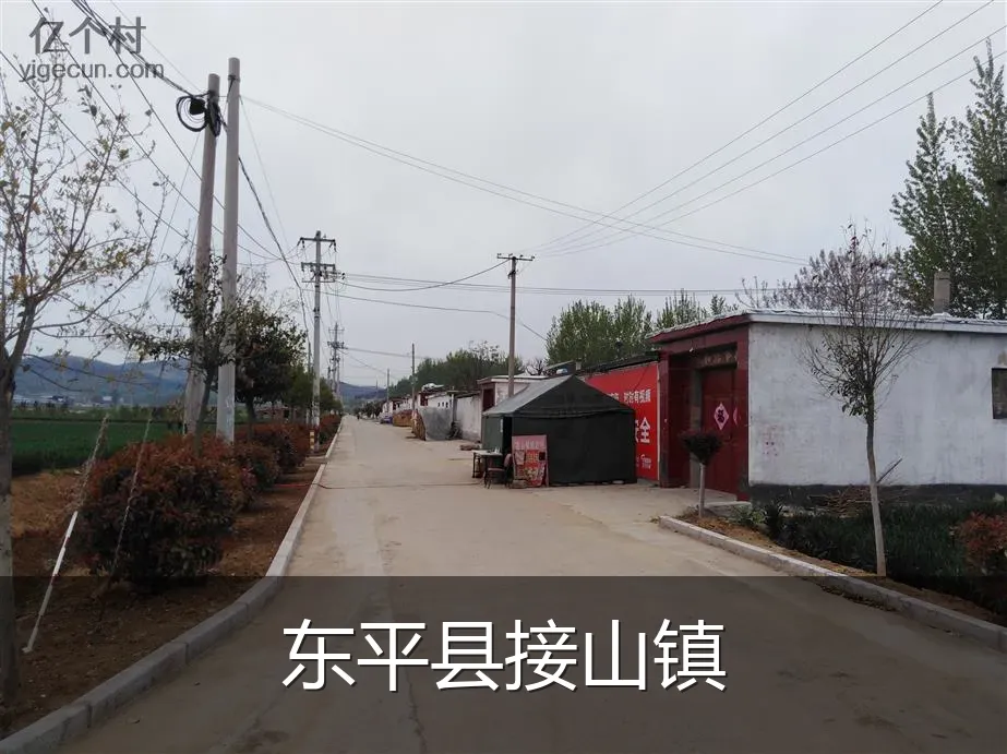 东平县接山镇
