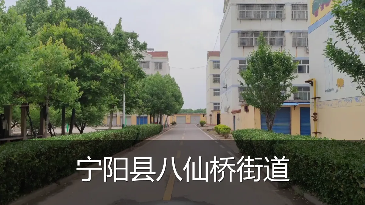 宁阳县八仙桥街道