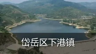 岱岳区下港镇