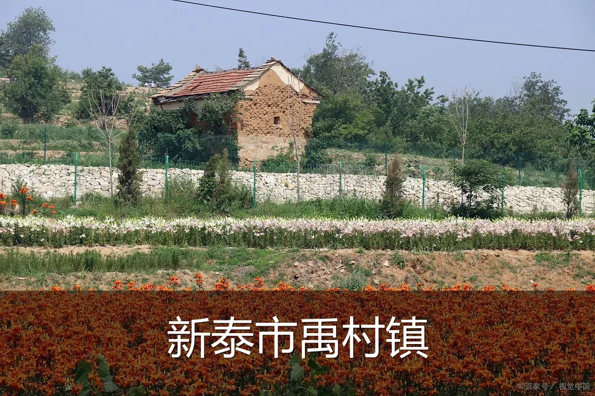 新泰市禹村镇