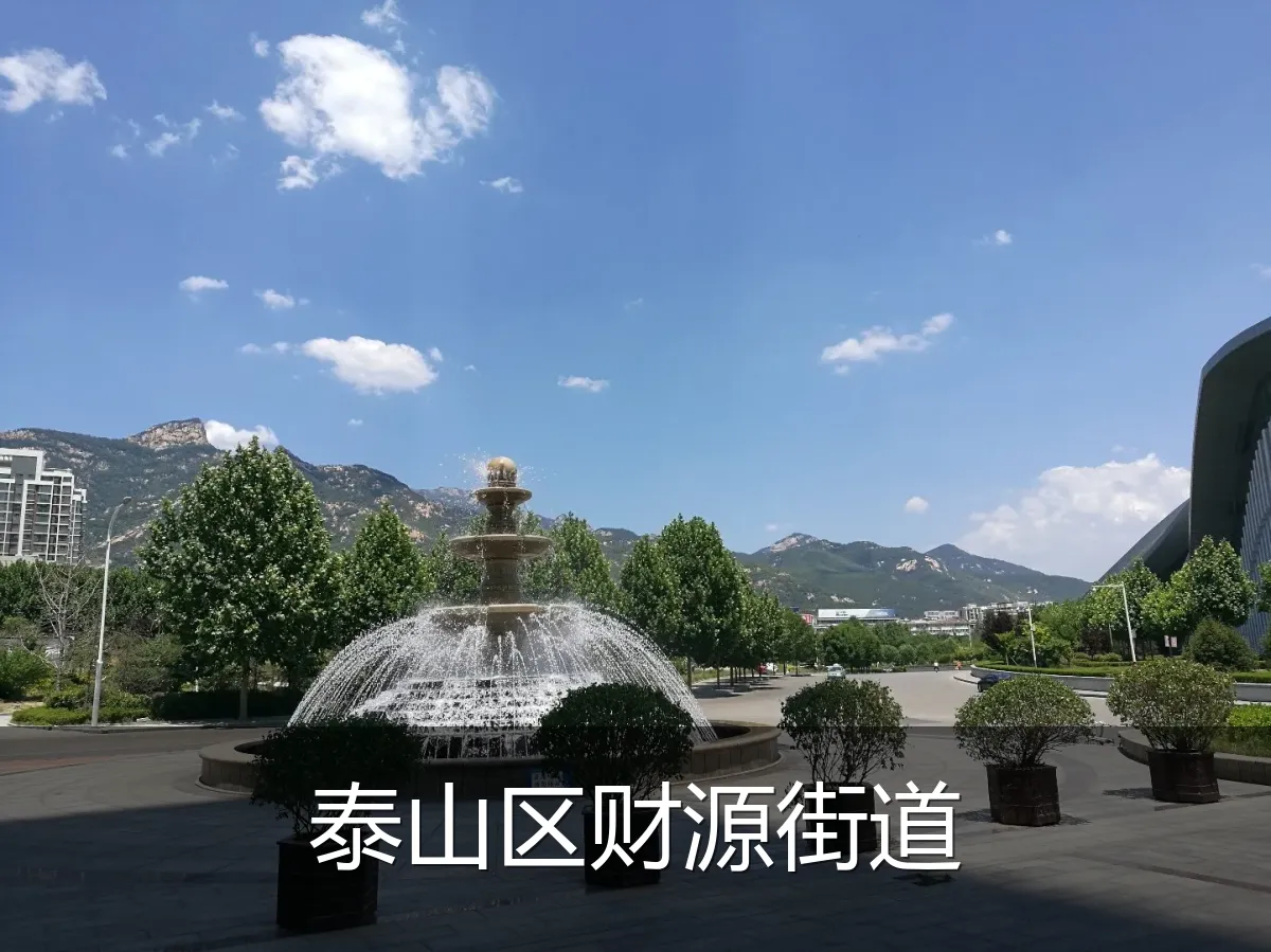泰山区财源街道