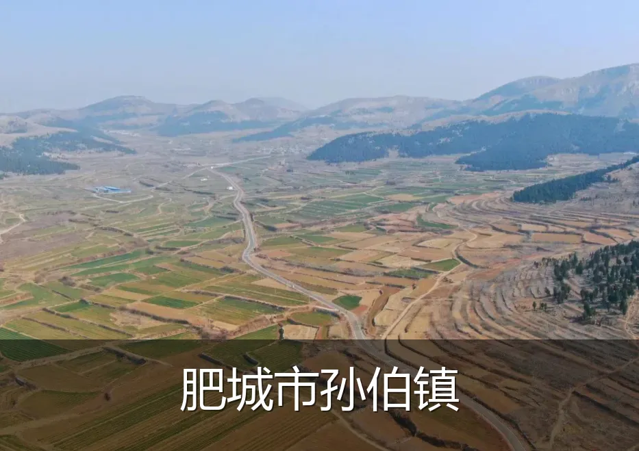 肥城市孙伯镇